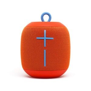 Consequuntur magni risus tincidunt