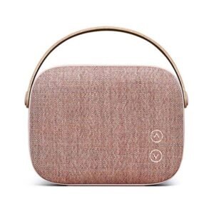 Aliquam lobortis est turpis mauris